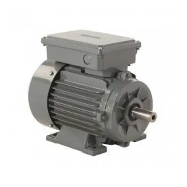 Motor electric Gamak MKD 100 L 2 monofazat 3 kW