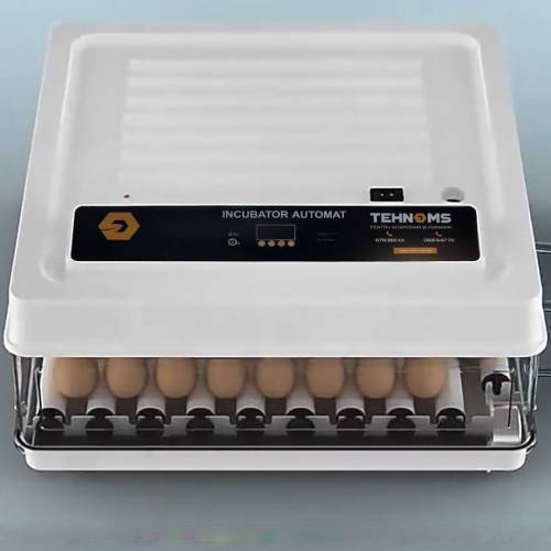 Incubator MS-130